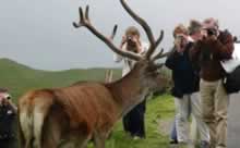 Bildauswahl auf 500px.com von Redaktionsservice SEO Text Web Translation Munich Übersetzungsservice Englisch München